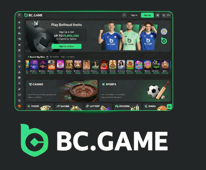 Unlocking Wealth The BC.Game Referral Bonus Explained Unlocking Wealth The BC.Game Referral Bonus Explained